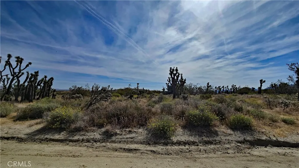 103rd St East vicinity W14 Juniper Hills, CA 93543