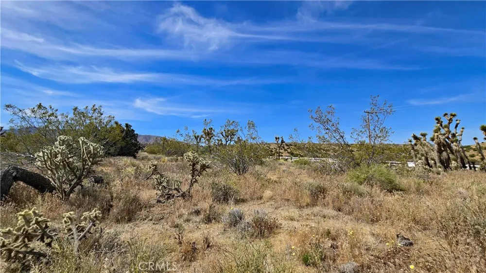 103rd St East vicinity W14 Juniper Hills, CA 93543