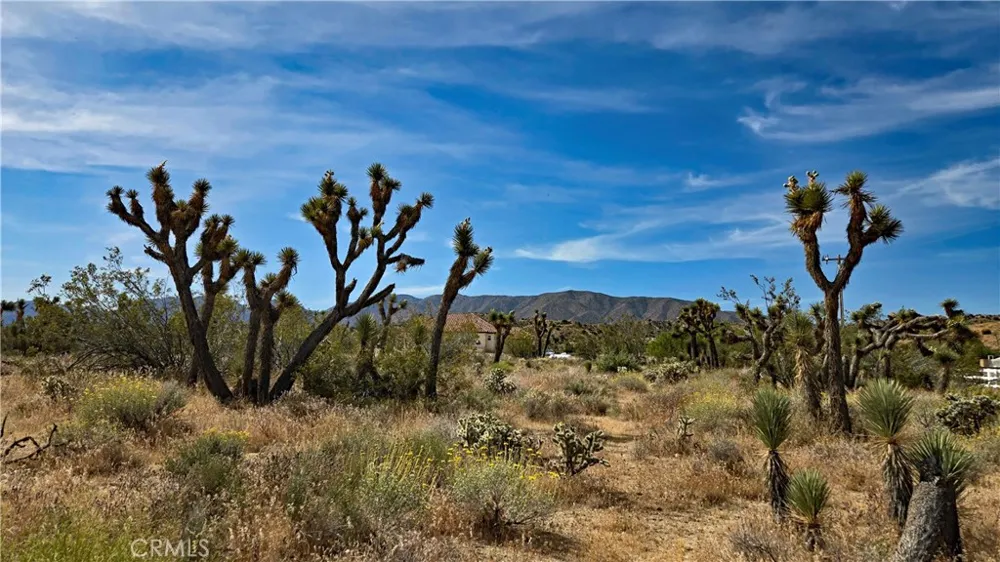 103rd St East vicinity W14 Juniper Hills, CA 93543