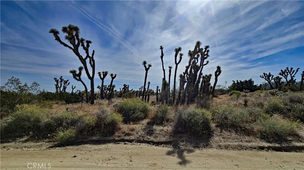 103rd St East vicinity W14 Juniper Hills, CA 93543