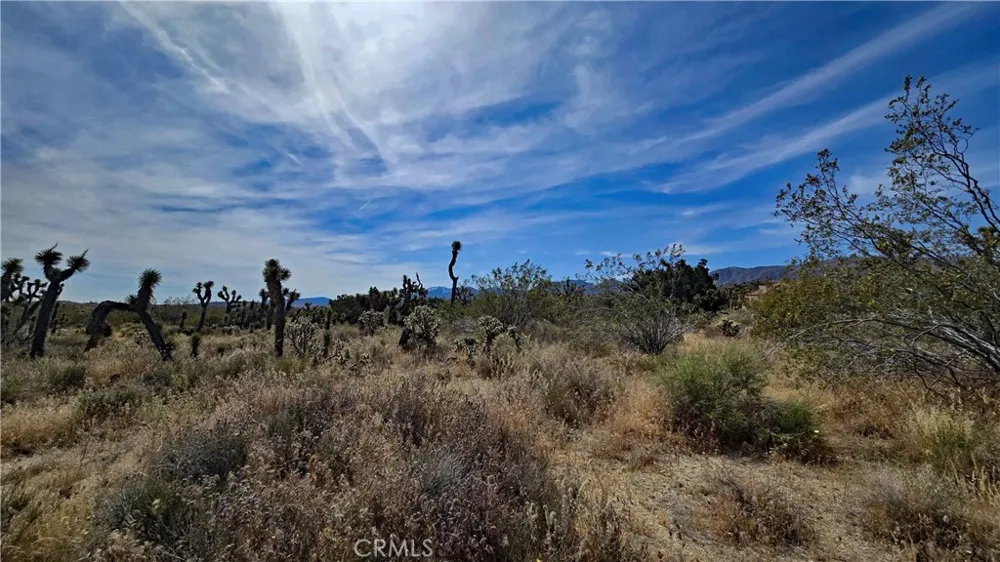 103rd St East vicinity W14 Juniper Hills, CA 93543