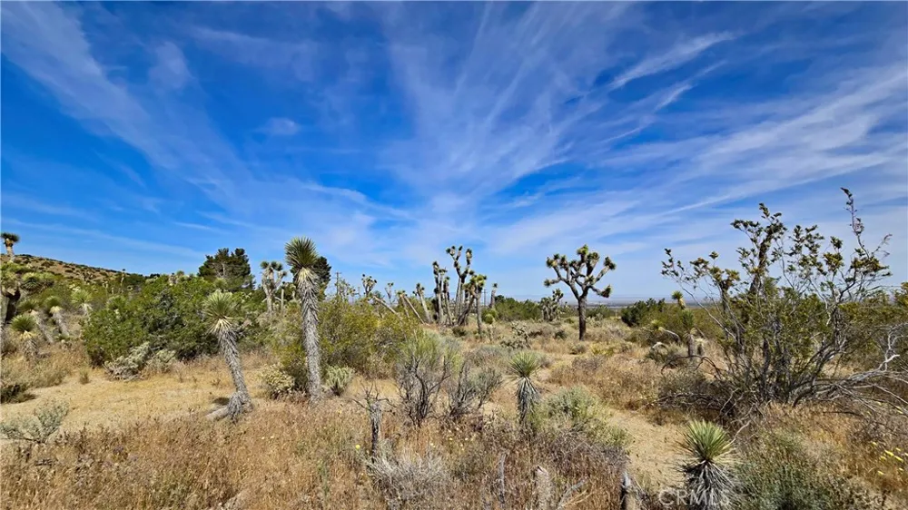 103rd St East vicinity W14 Juniper Hills, CA 93543