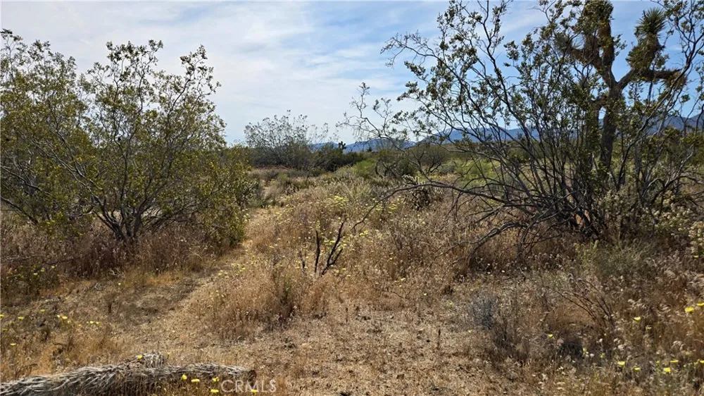 103rd St East vicinity W14 Juniper Hills, CA 93543