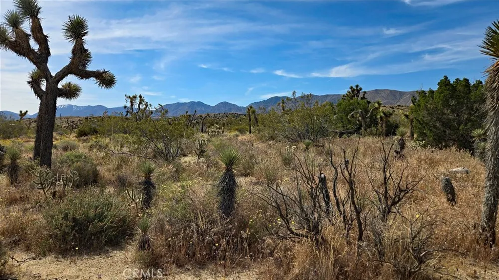 103rd St East vicinity W14 Juniper Hills, CA 93543