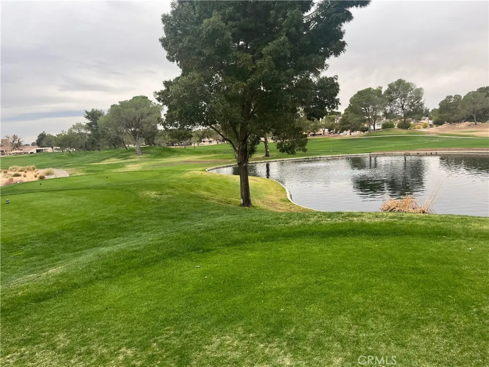 14988 Blue Grass Helendale, CA 92342