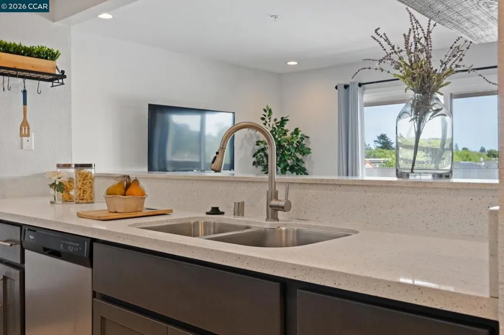 417 Evelyn Avenue #302 Albany, CA 94706