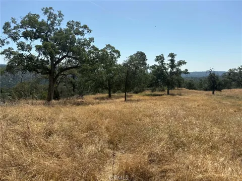 Lilley Mountain