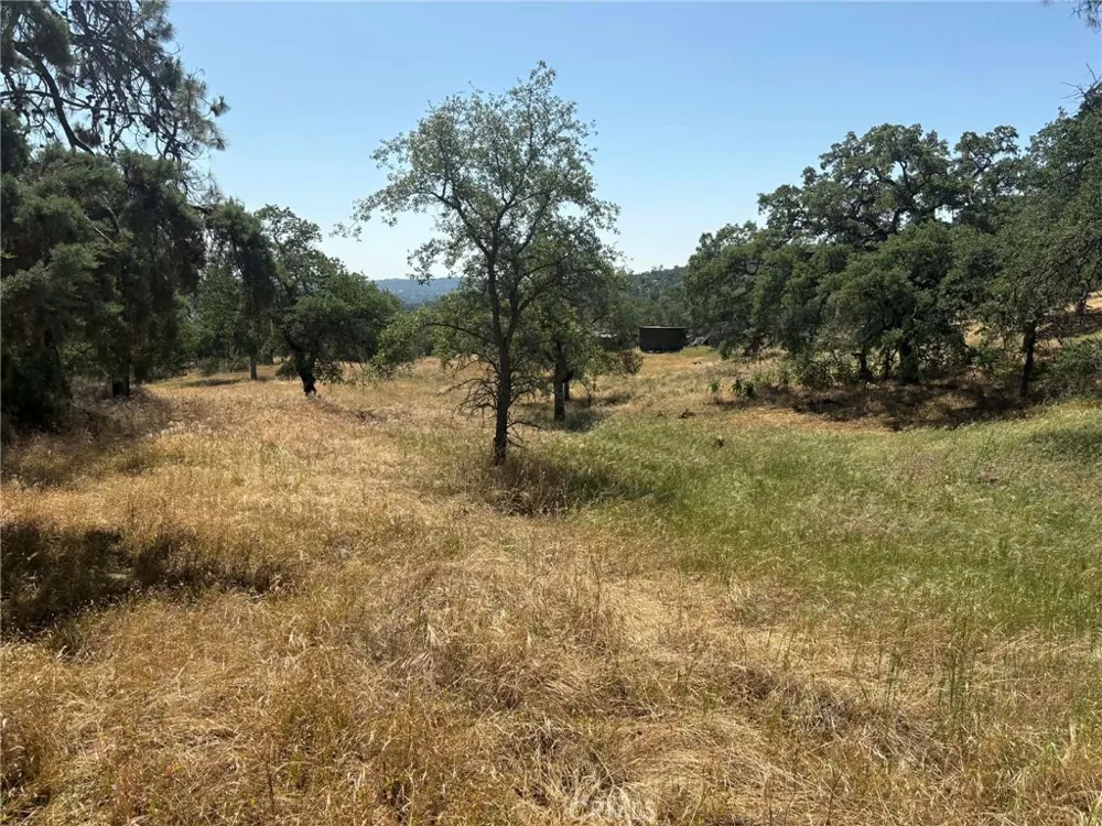 Lilley Mountain Coarsegold, CA 93614