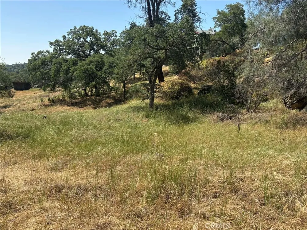 Lilley Mountain Coarsegold, CA 93614