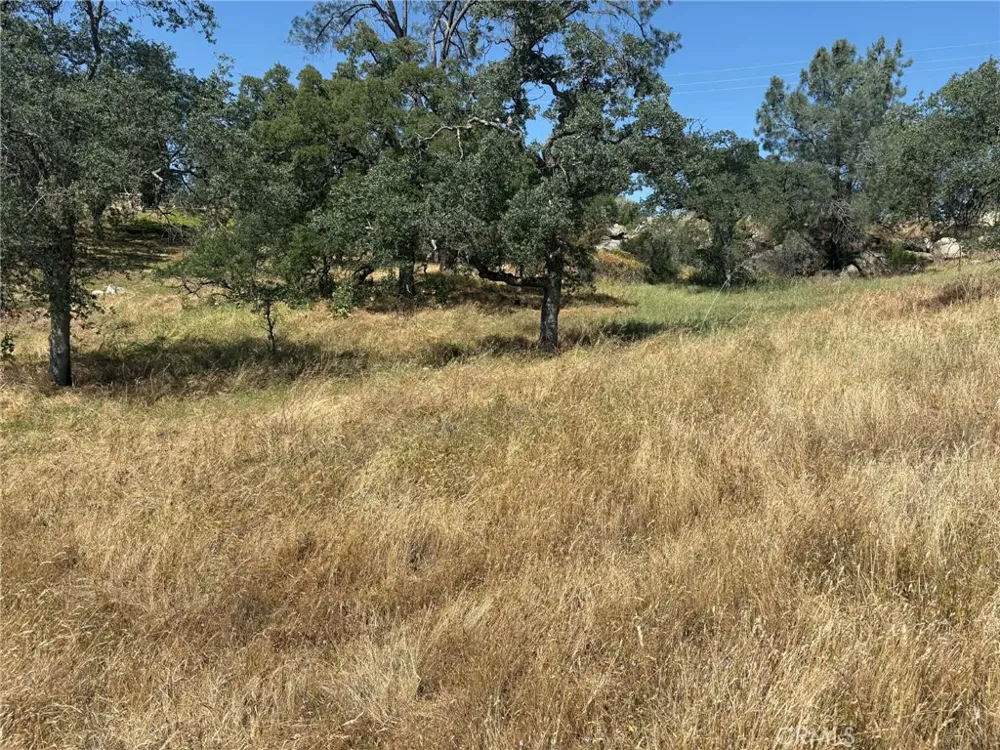 Lilley Mountain Coarsegold, CA 93614