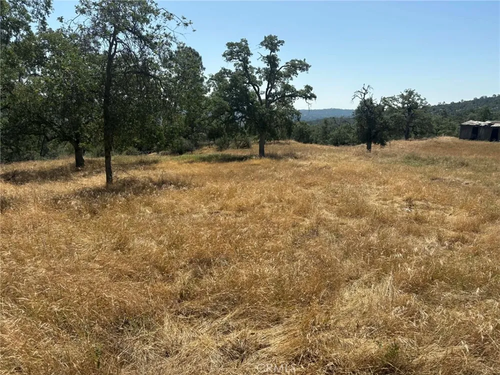 Lilley Mountain Coarsegold, CA 93614