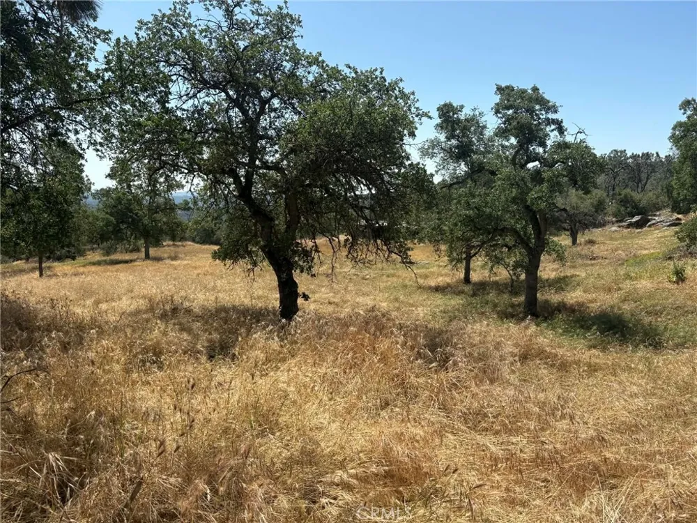 Lilley Mountain Coarsegold, CA 93614