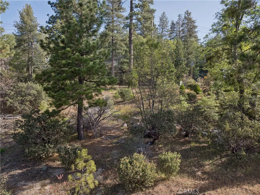 1180 Maverick Lake Arrowhead, CA 92352