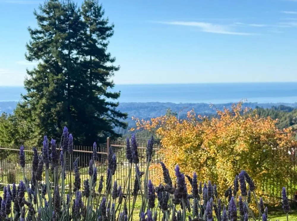 1061 Summit Road Watsonville, CA 95076