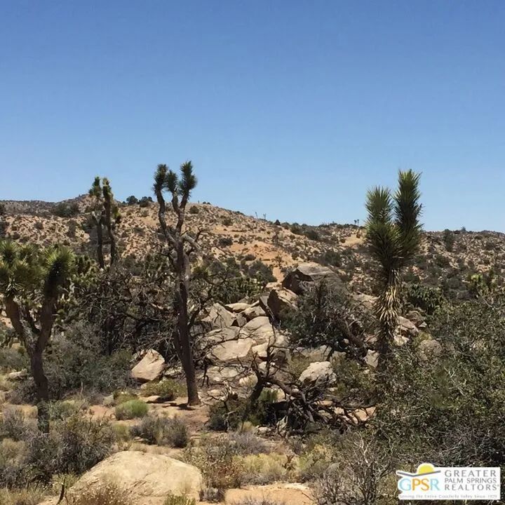 1430 Orion Pioneertown, CA 92268