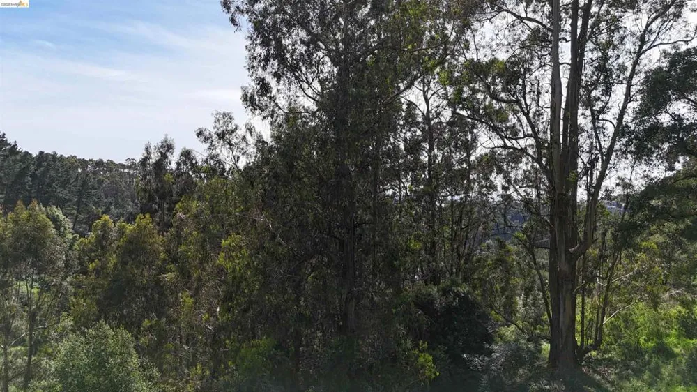 2551 Tunnel Rd Oakland, CA 94611
