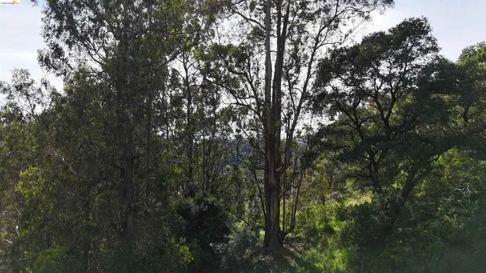 2551 Tunnel Rd Oakland, CA 94611