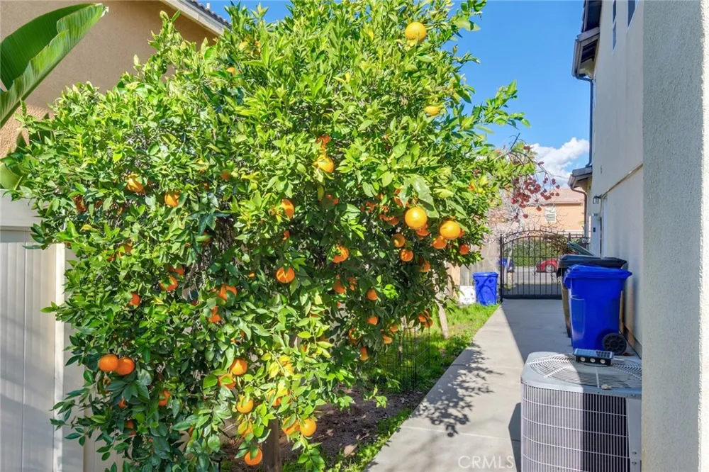 31271 Moss Mentone, CA 92359