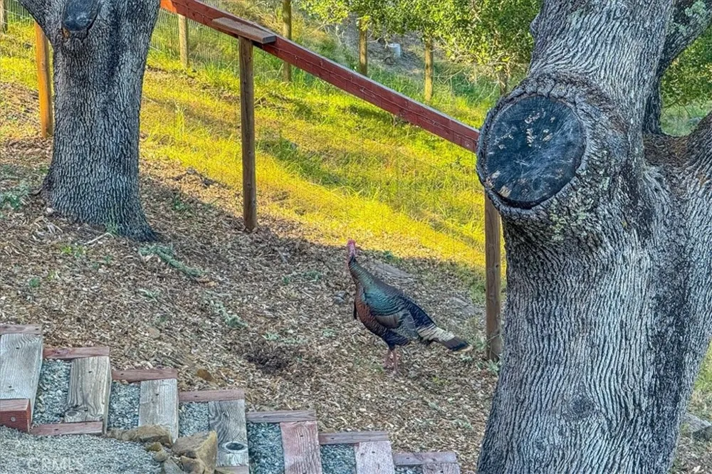 10662 Santa Ana Road Atascadero, CA 93422