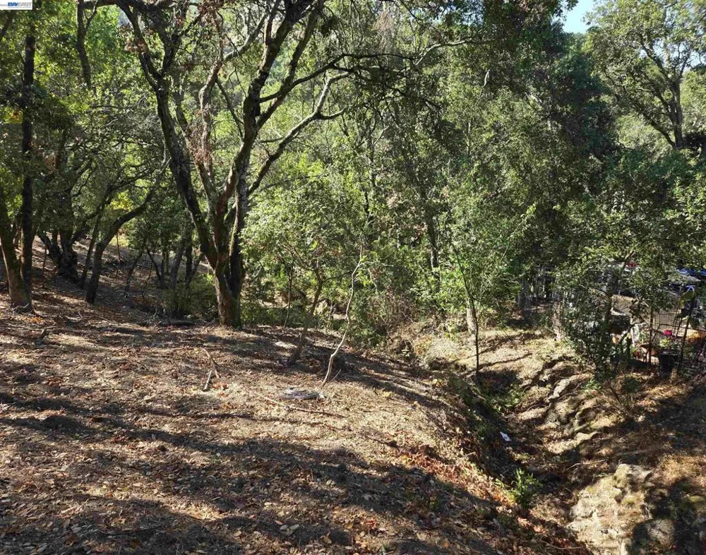 12 Vista Del Orinda Orinda, CA 94563