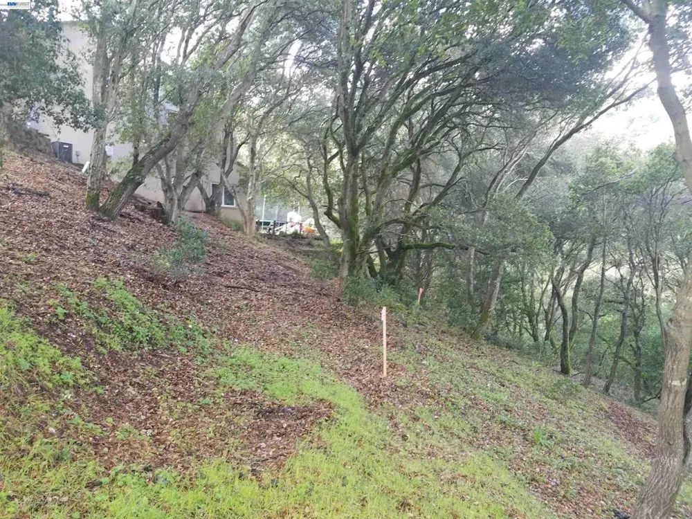 12 Vista Del Orinda Orinda, CA 94563