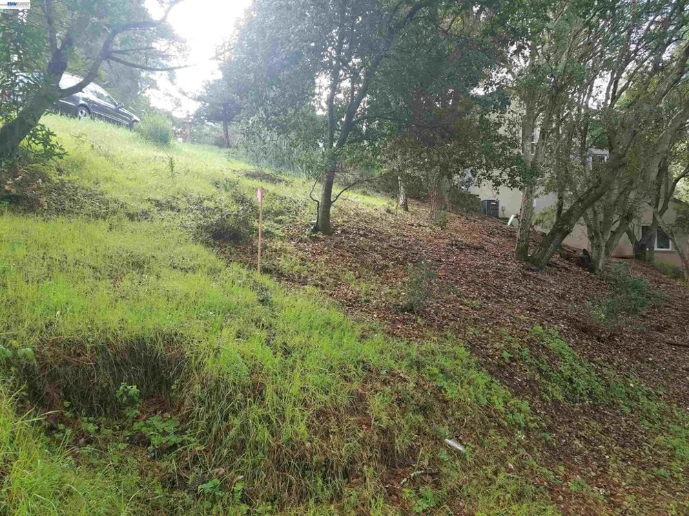 12 Vista Del Orinda Orinda, CA 94563