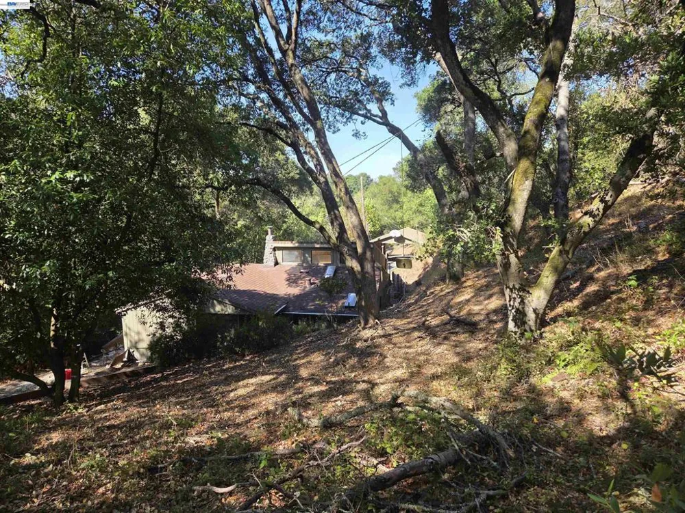 12 Vista Del Orinda Orinda, CA 94563