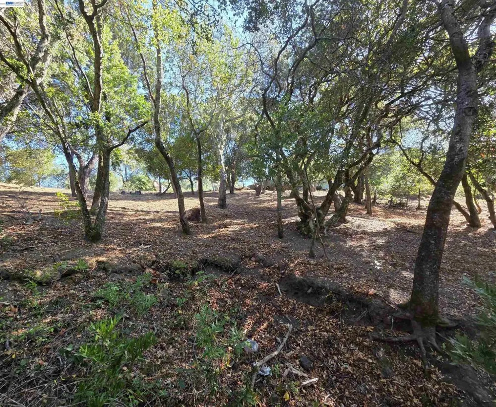 12 Vista Del Orinda Orinda, CA 94563