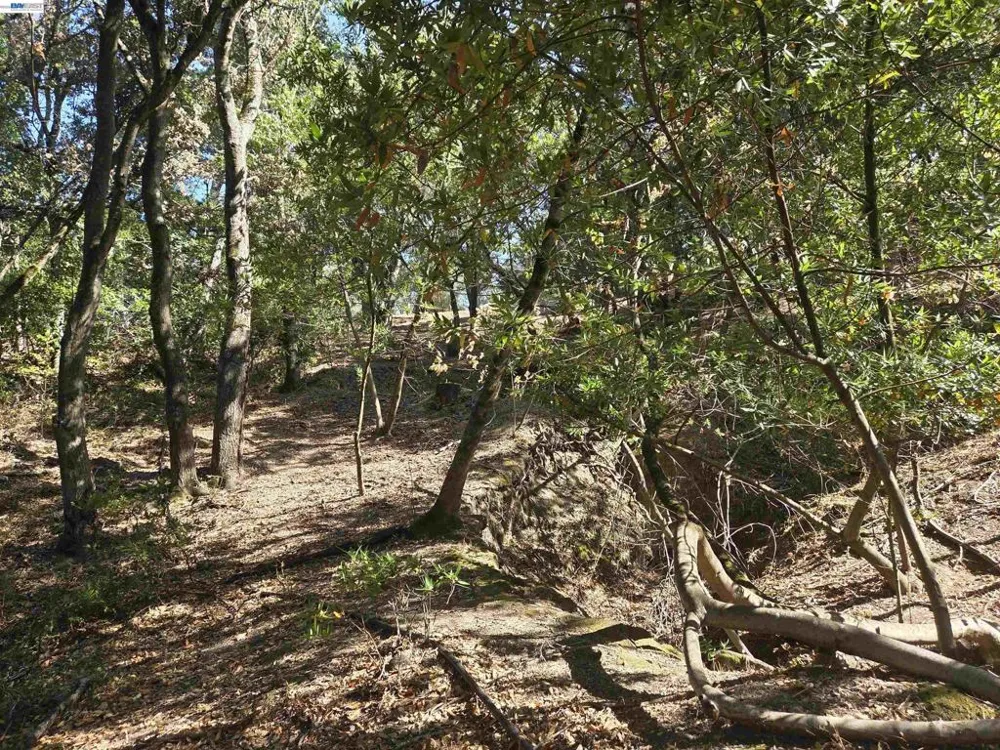 12 Vista Del Orinda Orinda, CA 94563
