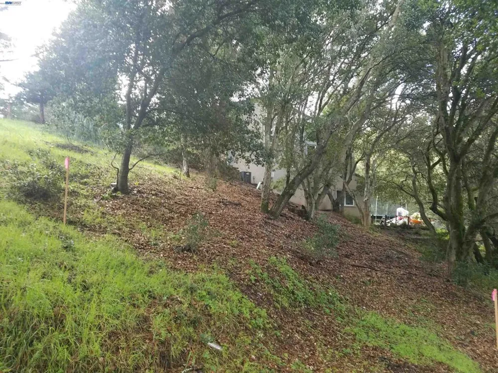 12 Vista Del Orinda Orinda, CA 94563