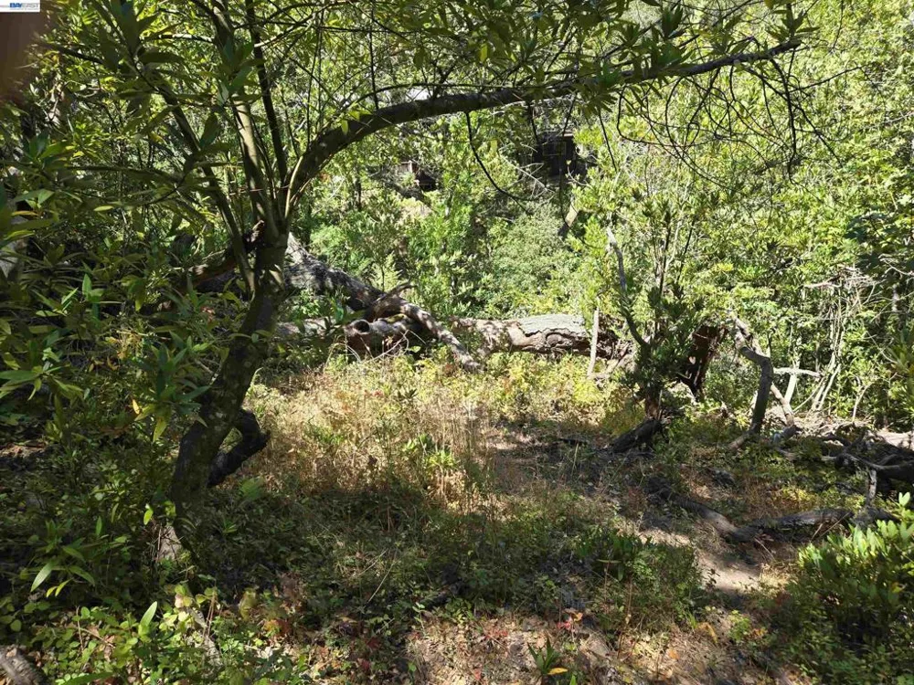 12 Vista Del Orinda Orinda, CA 94563