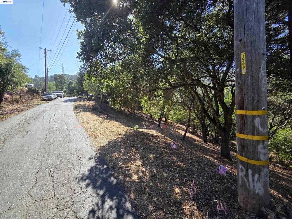 12 Vista Del Orinda Orinda, CA 94563
