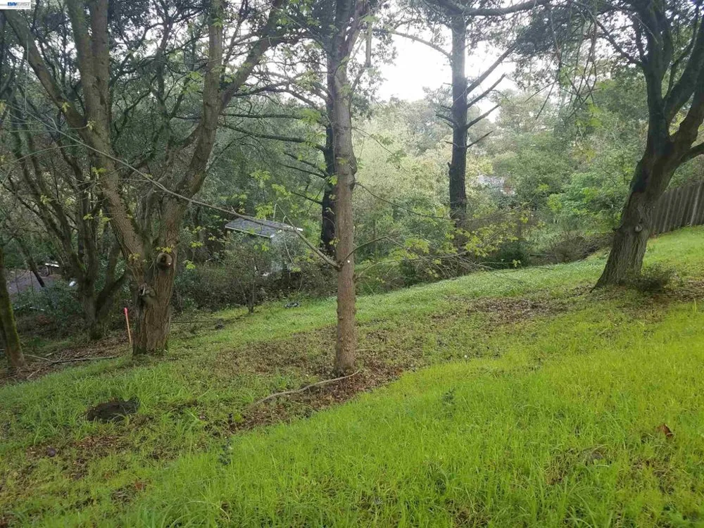 12 Vista Del Orinda Orinda, CA 94563