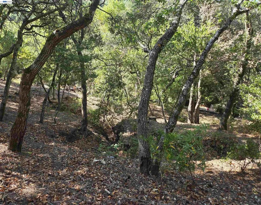 12 Vista Del Orinda Orinda, CA 94563