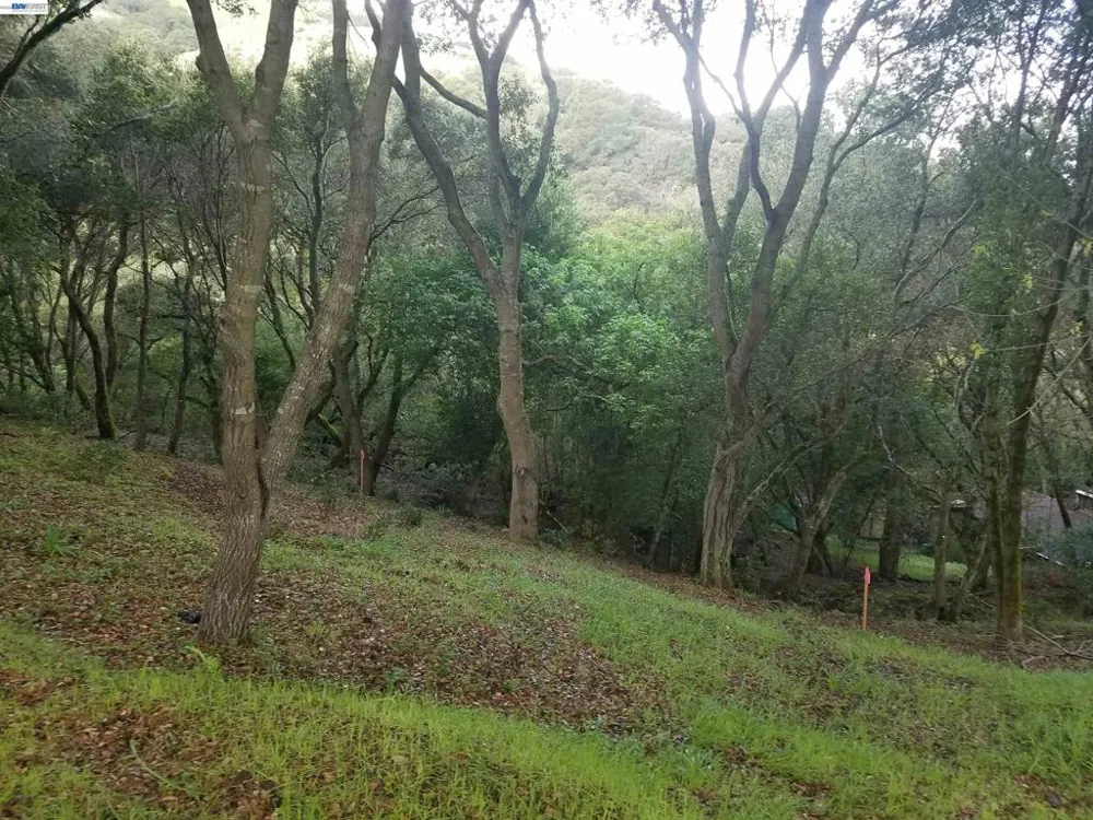 12 Vista Del Orinda Orinda, CA 94563