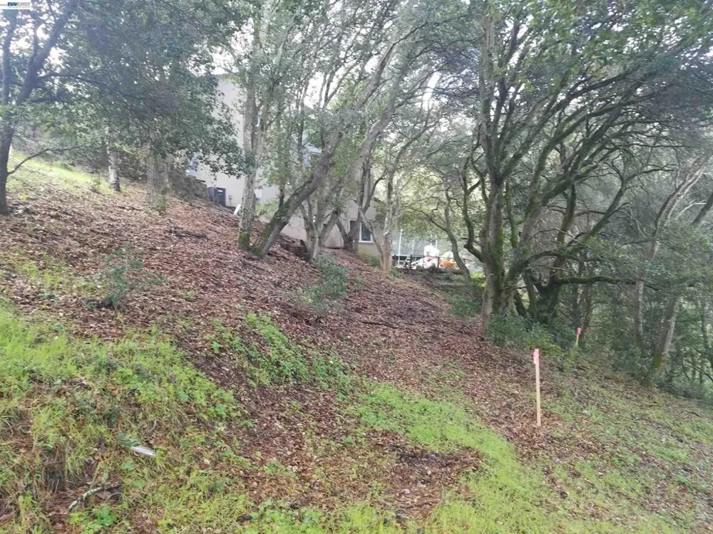 12 Vista Del Orinda Orinda, CA 94563