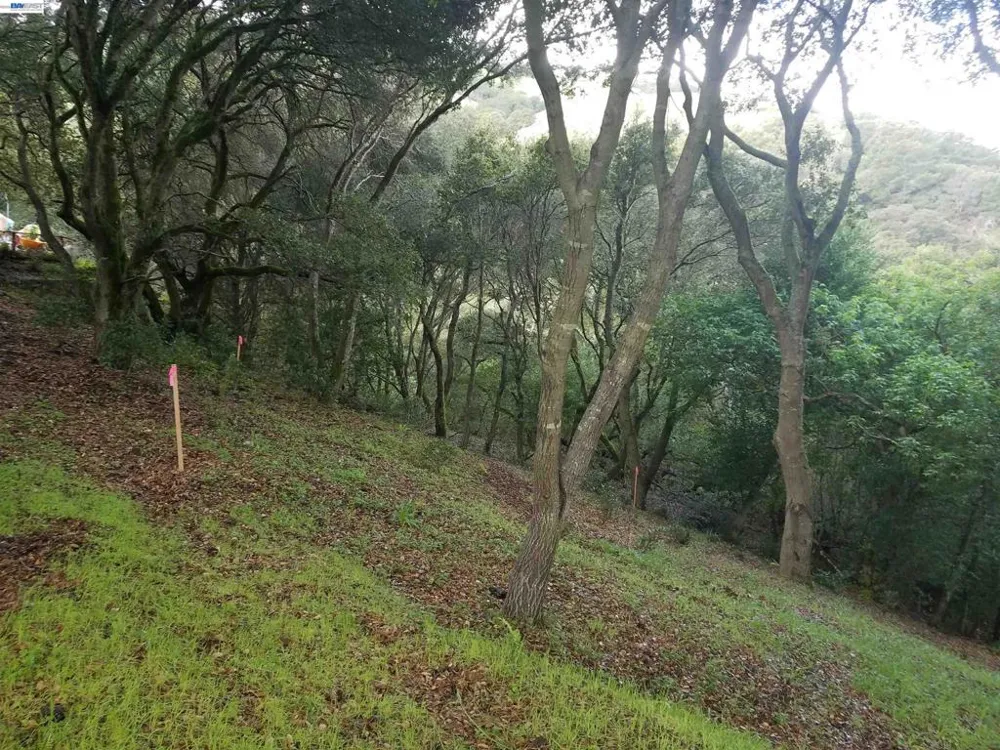 12 Vista Del Orinda Orinda, CA 94563