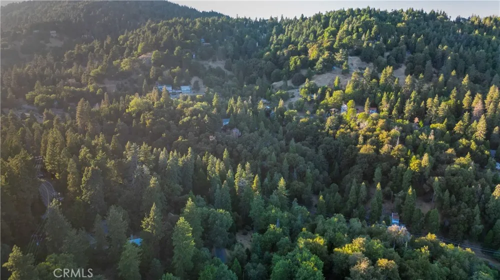 Fir Cedarpines Park, CA 92322