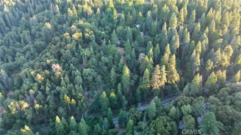 Fir