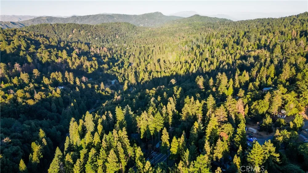 Fir Cedarpines Park, CA 92322