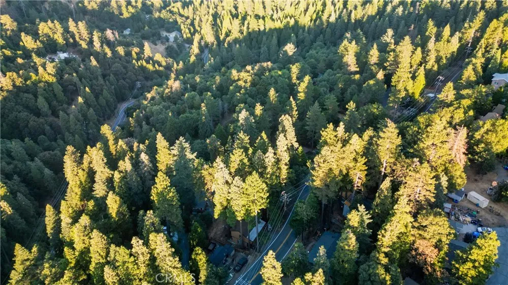 Fir Cedarpines Park, CA 92322