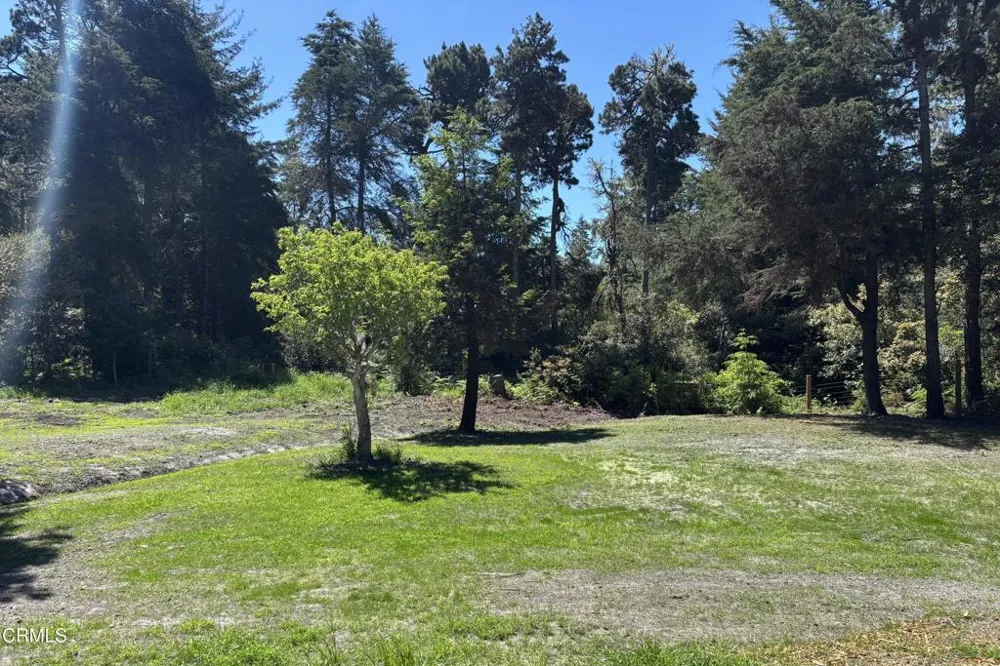 31301 Turner Road Fort Bragg, CA 95437