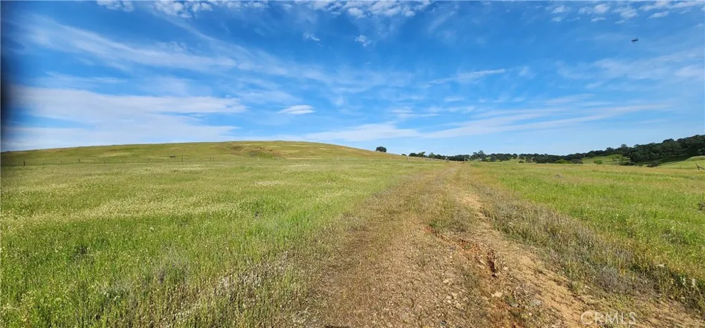 Daly Palermo, CA 95966