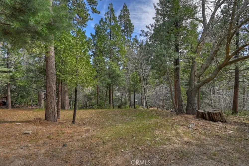 27297 Little Bear Blue Jay, CA 92317