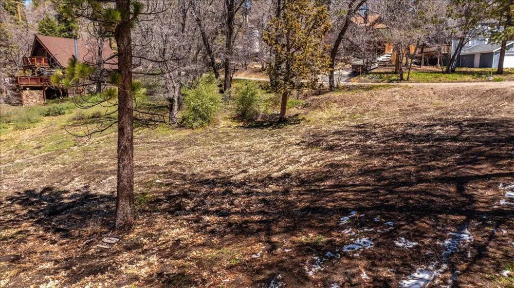 1270 Siskiyou Drive Big Bear, CA 92315