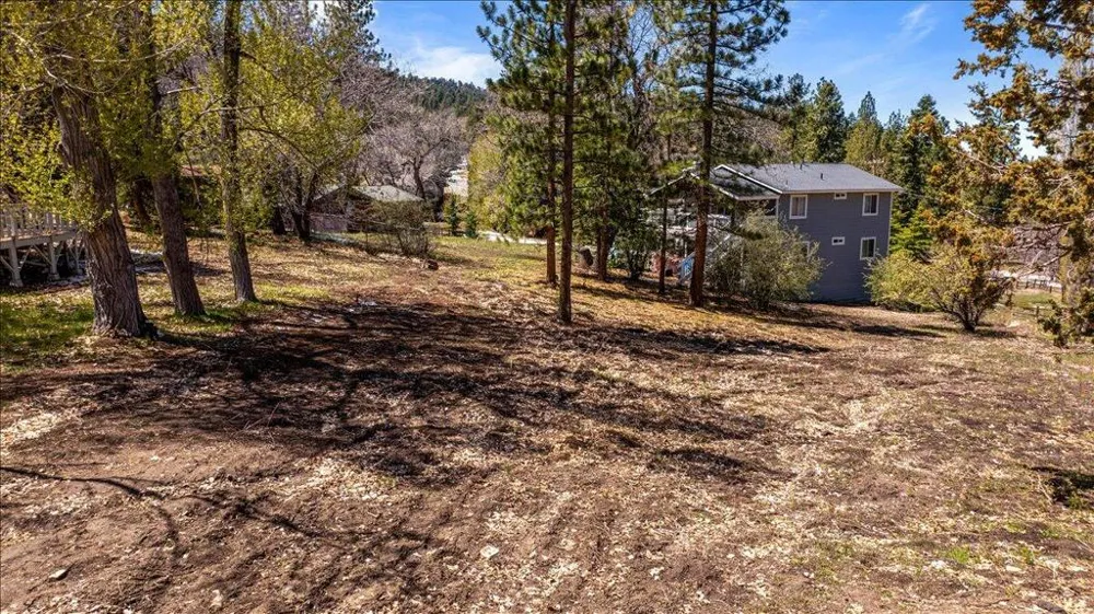1270 Siskiyou Drive Big Bear, CA 92315