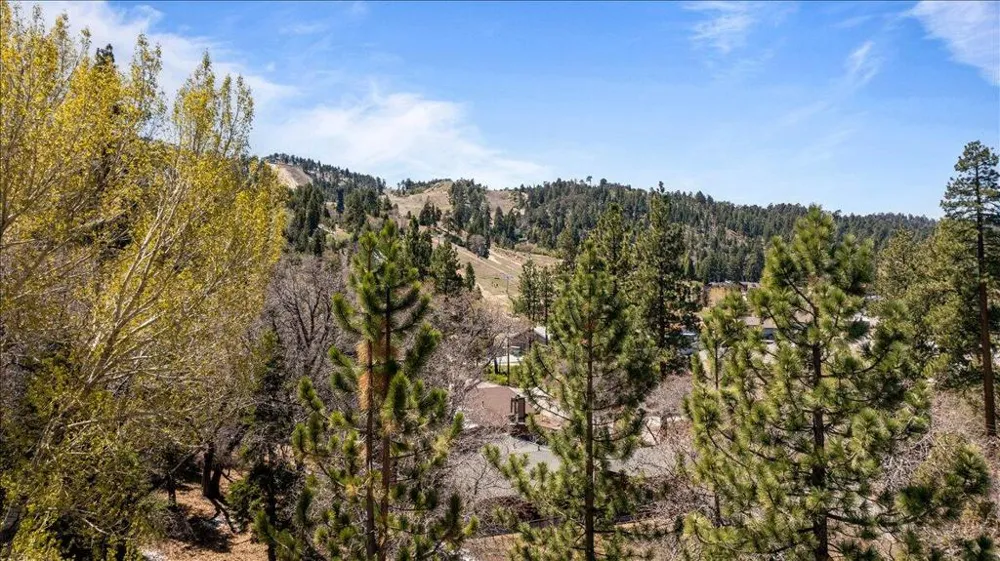 1270 Siskiyou Drive Big Bear, CA 92315