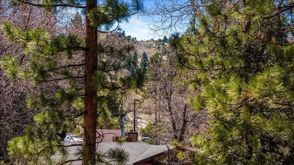1270 Siskiyou Drive Big Bear, CA 92315