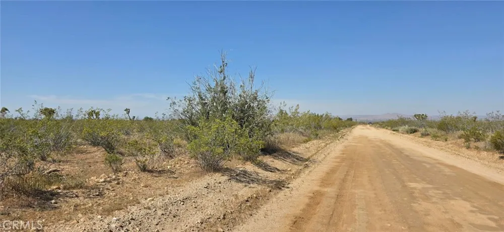 175th St E W10 Llano, CA 93591