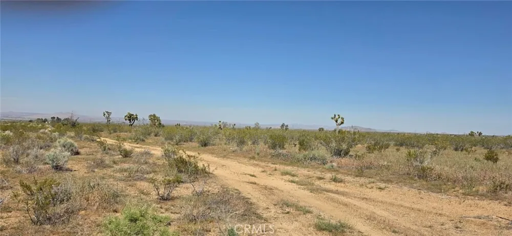 175th St E W10 Llano, CA 93591